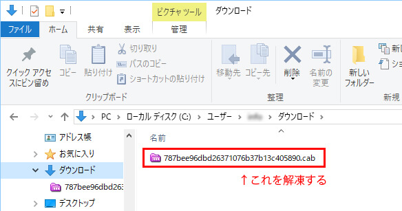 787bee96dbd26371076b37b13c405890.cabを解凍