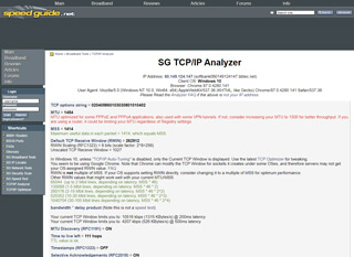 SG TCP/IP Analyzer