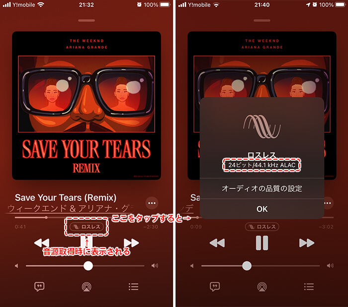 ロスレス(24ビット/44.1kHz ALAC)と表示されました。