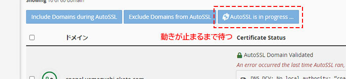 「Run AutoSSL」の処理中